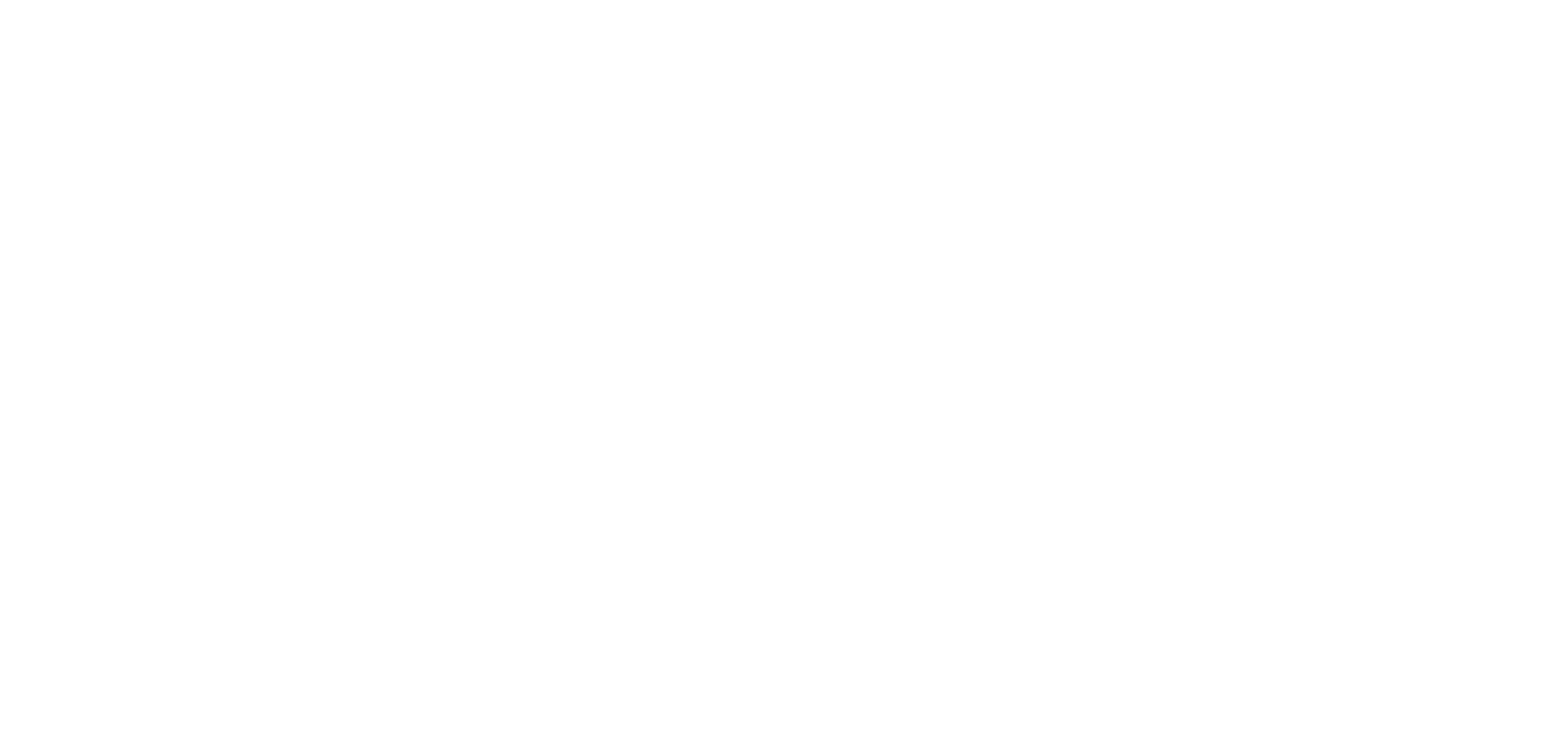 FVD Logo